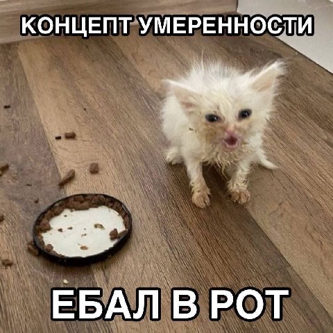 КОНЦЕПТ УМЕРЕННОСТИ ЕБАЛ В РОТ