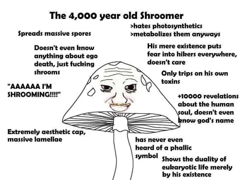 The 4,000 year old Shroomer >hates photosynthetics Spreads massive spores >metabolizes them anyways Doesn't even know His mere existence puts anything about ego fear into hikers everywhere, death, jus