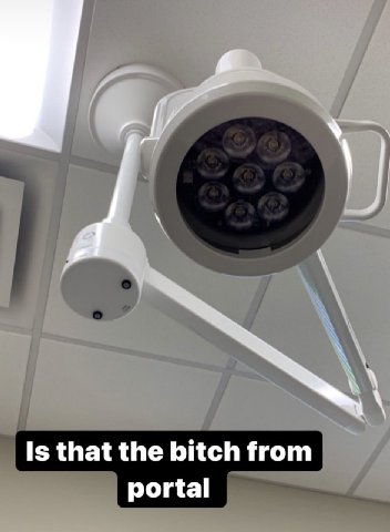 Is that the bitch from portal