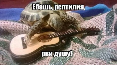 Ебашь, рептилия, we in, he 1“ we 42. ata afd "4 an ore К