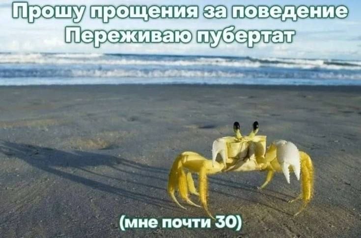 Прошу поведение А (мне почти $0)