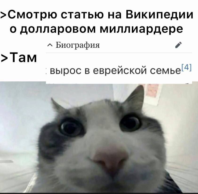 >Смотрю статью на Википедии о долларовом миллиардере Биография Там [4] вырос в еврейской семье