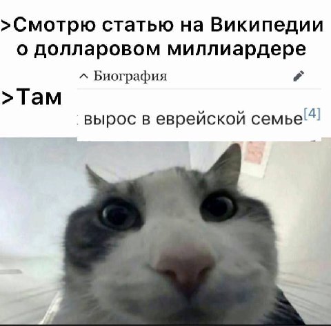 >Смотрю статью на Википедии о долларовом миллиардере Биография Там [4] вырос в еврейской семье