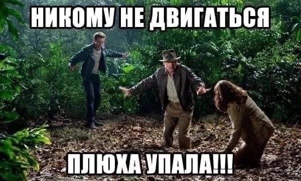 НИКОМУ НЕ ДВИГАТЬСЯ we