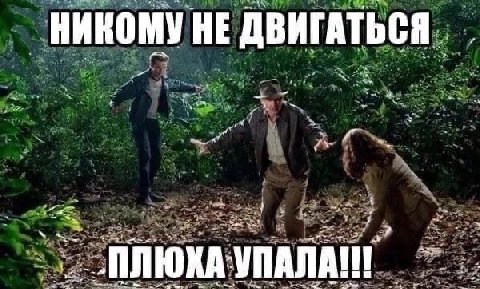 НИКОМУ НЕ ДВИГАТЬСЯ we