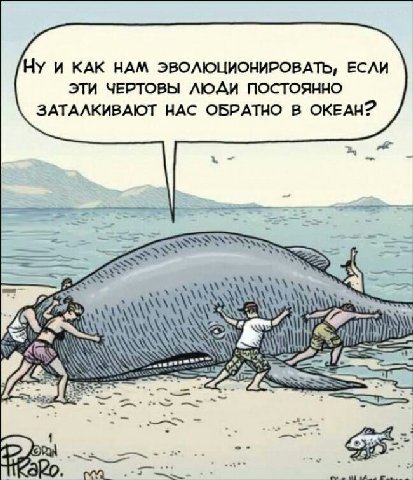 Ну и КАК НАМ ЭВОЛЮЦИОНИРОВАТЬ, ЕСЛИ ЭТИ ЧЕРТОВЫ ЛЮДИ ПОСТОЯННО ЗАТАЛКИВАЮТ НАС ОБРАТНО В ОКЕАН? a ANS 78 А 1 Cur С WE О» 20