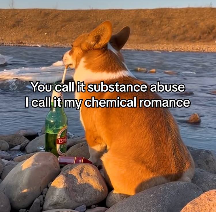 substance chemical готапсе