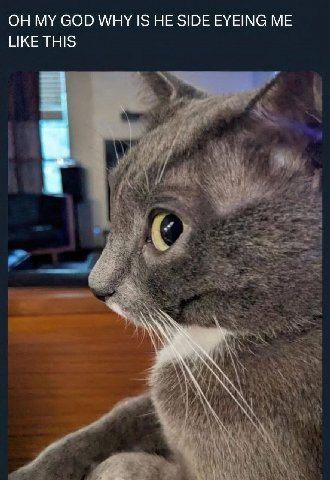 ОН GOD WHY IS HE SIDE EYEING ME LIKE THIS