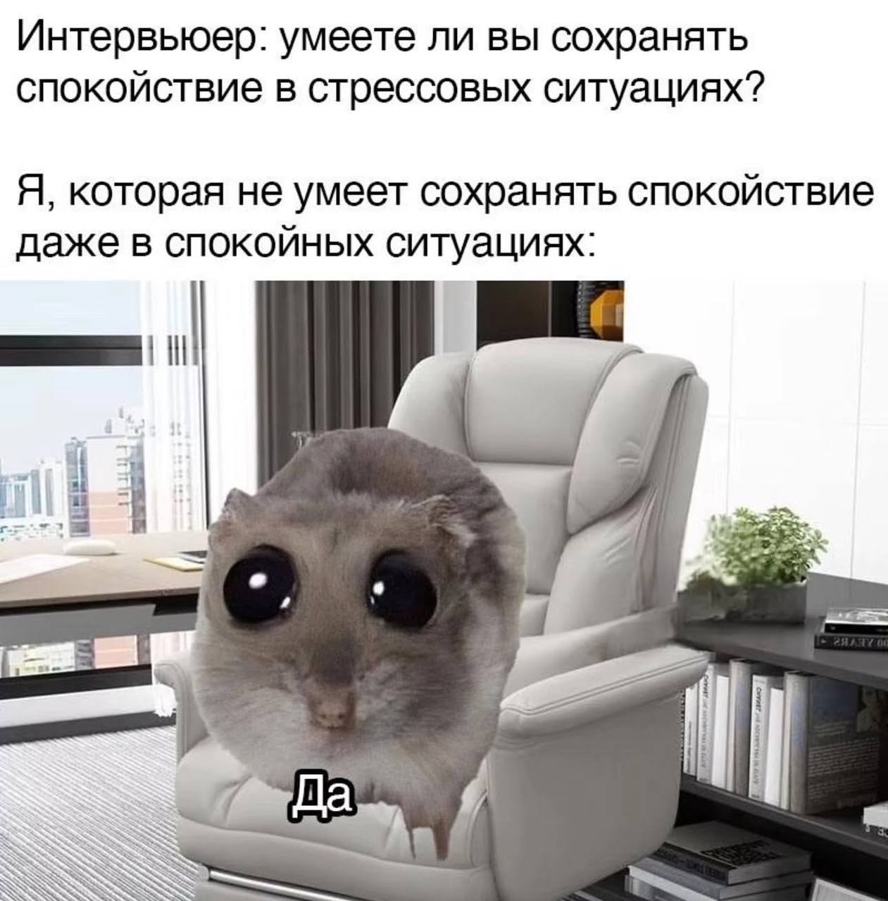 Интервьюер: умеете ли вы сохранять спокойствие в стрессовых ситуациях? Я, которая не умеет сохранять спокойствие даже в спокойных ситуациях: у о
