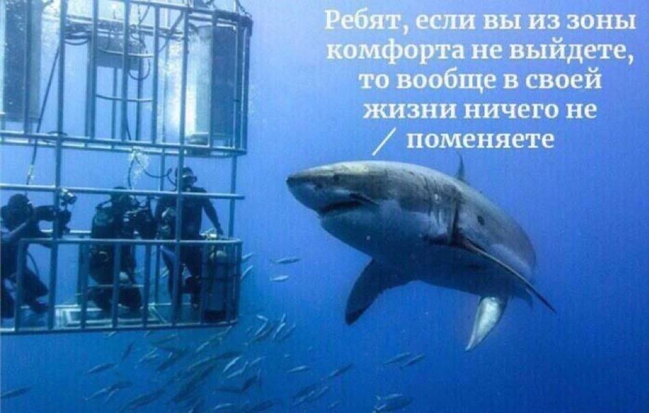4 мы Ребят, если вы иззоны комфорта He выйдете, то вообще в своей жизни ничего не поменяете
