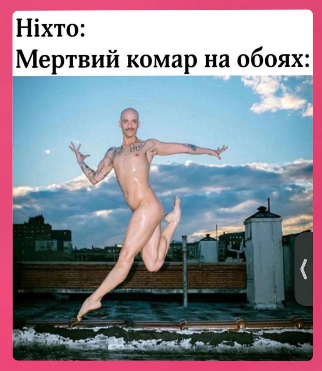 Мертвий комар на обоях: