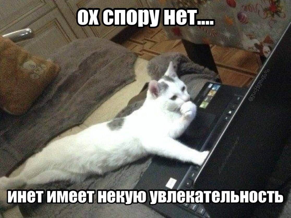 CHOPY инетимеет некую увлекательность