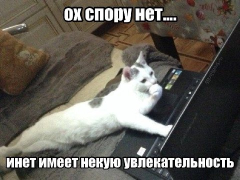CHOPY инетимеет некую увлекательность