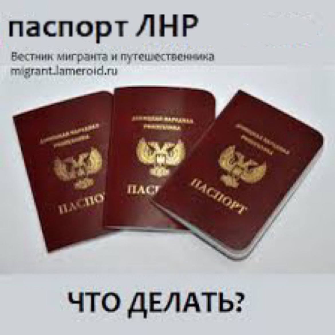 паспорт ЛНР Вестинн мигранта ПАСТ ЧТО ДЕЛАТЬ?