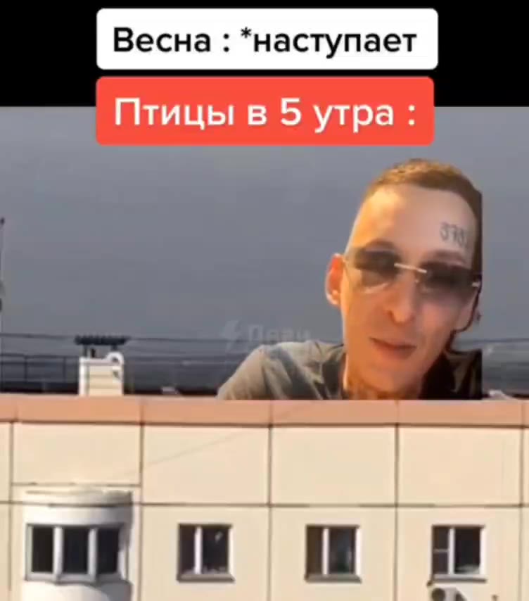 Птицы в 5 утра :