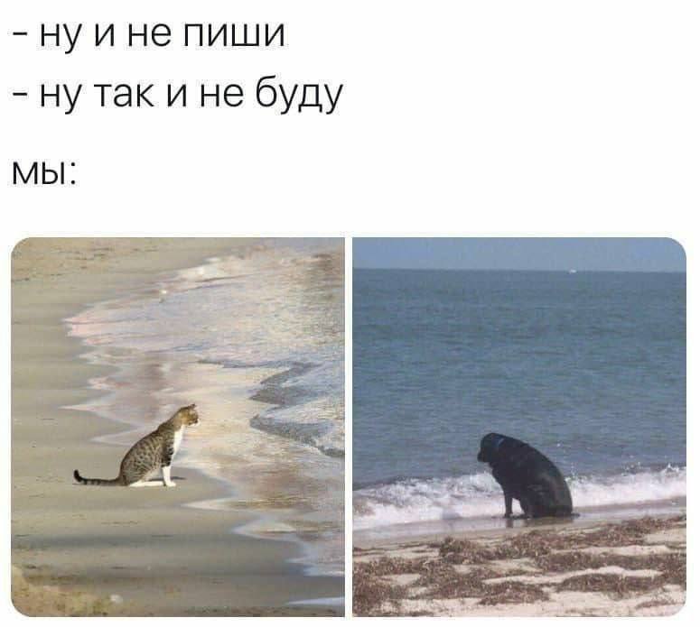 Нуи не пиши так и не буду МЫ: и 2 а