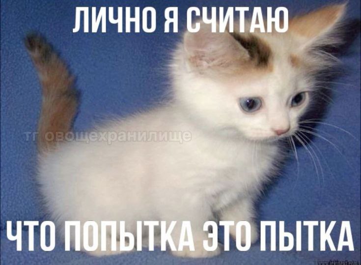 ЛИЧНО Я СЧИТАЮ ЧТО ПОПЫТКА ЭТО ПЫТКА