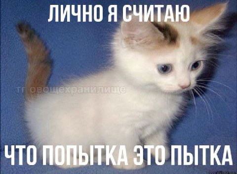 ЛИЧНО Я СЧИТАЮ ЧТО ПОПЫТКА ЭТО ПЫТКА