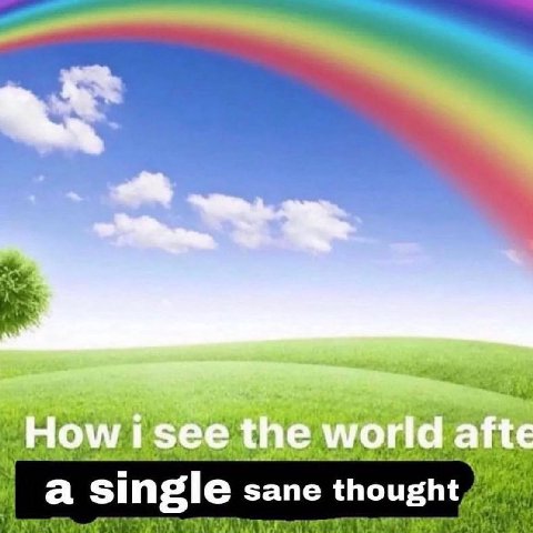 How the world afte a single sane thought