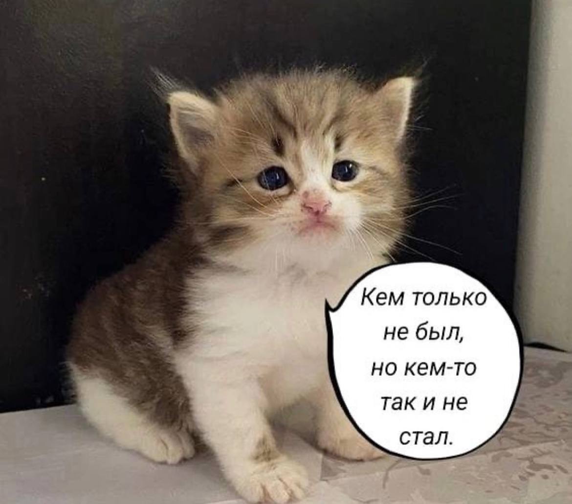 Кем только не был, но кем-то так и не стал.