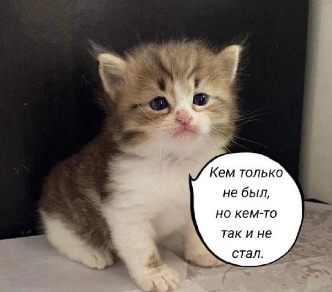 Кем только не был, но кем-то так и не стал.