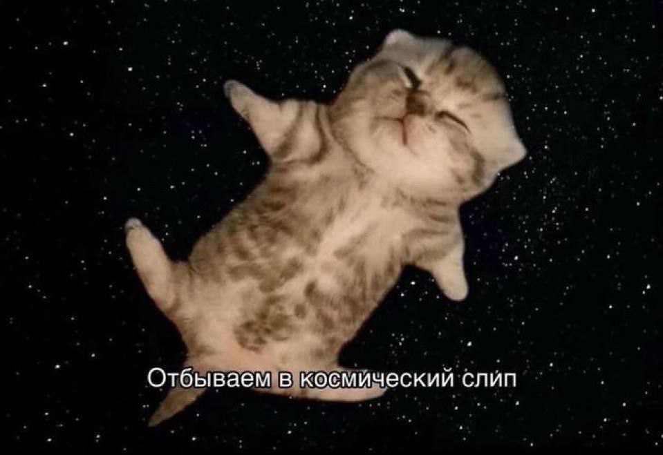 Отбываем в космический слип