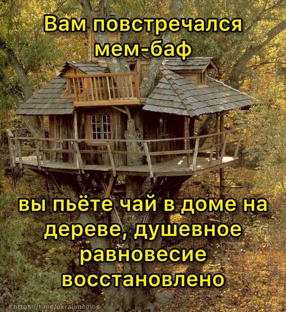 “Bam повстречался мем- вы пьете чаи в доме на дереве, душевное равновесие восстановлено