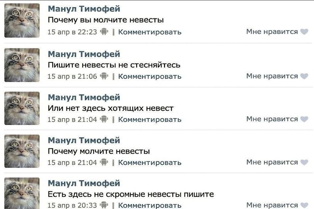Манул Тимофей Почему вы молчите невесты 15 апрв 22:23 Комментировать Мне нравится Манул Тимофей Пишите невесты не стесняйтесь 15 апрв 21:06 Комментировать Мне нравится Манул Тимофей Или нет здесь хотя