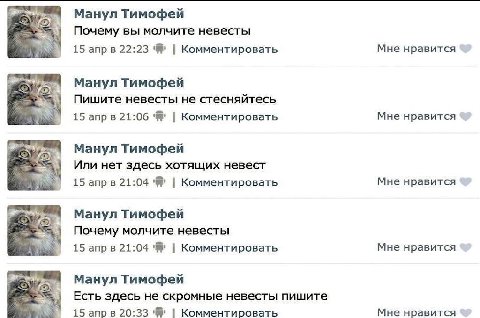 Манул Тимофей Почему вы молчите невесты 15 апрв 22:23 Комментировать Мне нравится Манул Тимофей Пишите невесты не стесняйтесь 15 апрв 21:06 Комментировать Мне нравится Манул Тимофей Или нет здесь хотя