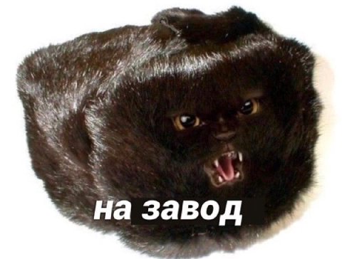 а 7% 1 на завод