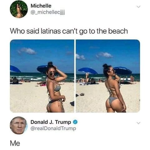 Michelle @_писпе!ес]]) Who said latinas can't to the beach or Donald Trump @realDonaldTrump Me