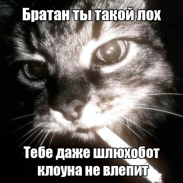 Кой. лох Братан ты Тебе даже клоуна HE