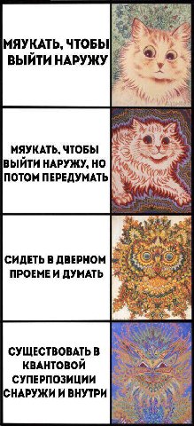 МЯУКАТЬ, ЧТОБЫ as ВЫЙТИ НАРУЖУ 3 My у МЯУКАТЬ, ЧТОБЫ ВЫЙТИ НАРУЖУ, ПОТОМ ПЕРЕДУМАТЬ СИДЕТЬ В ДВЕРНОМ ПРОЕМЕИ ДУМАТЬ £5 СУЩЕСТВОВАТЬ В КВАНТОВОЙ СУПЕРПОЗИЦИИ НАРУЖИ И ВНУТРИ