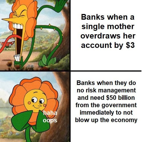 Banks а single mother overdraws her account $3 4. Banks when they no risk management and need $50 billion from the government immediately to not oops blow up the economy