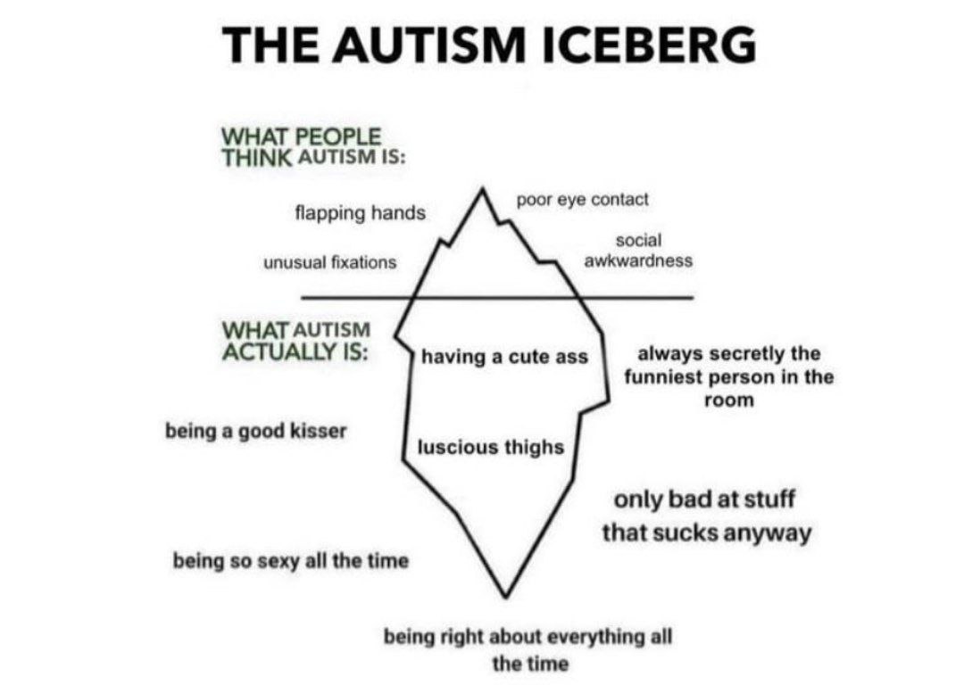 THE AUTISM ICEBERG THINK AUTISM IS: poor eye contact flapping hands social unusual fixations awkwardness WHAT AUTISM A having a cute ass always secretly the funniest person in the room being a good ki