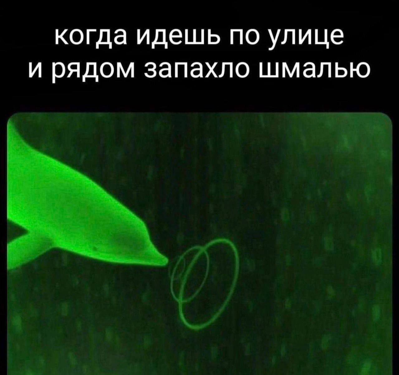 когда идешь по улице и рядом запахло шмалью