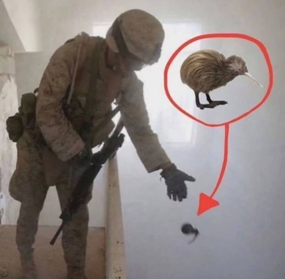 | ео \ | : ©, =. a