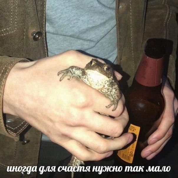 иногда фля нужно так мало
