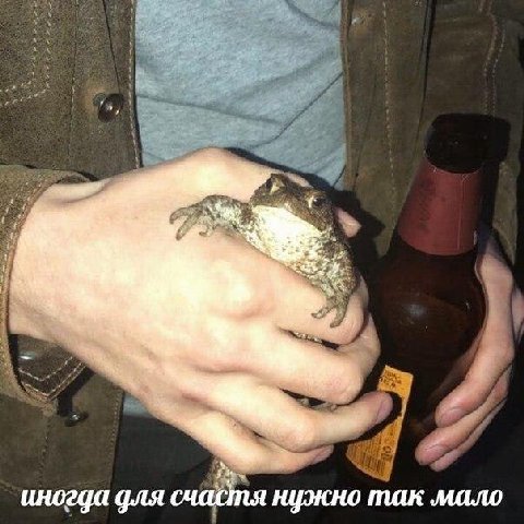 иногда фля нужно так мало