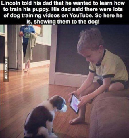 Ипсо!п told his dad that he wanted to learn how to train his puppy. His dad said there were lots of dog training videos on YouTube. So here he is, showing them to the dog!