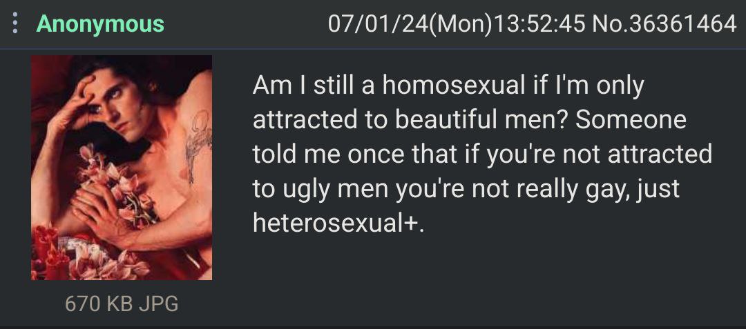 Anonymous 07/01/24(Mon)13:52:45 No.36361464 still a homosexual if only attracted to beautiful men? Someone told me once that if you're not attracted to ugly men youre not really gay, just я> 670 JPG