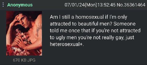 Anonymous 07/01/24(Mon)13:52:45 No.36361464 still a homosexual if only attracted to beautiful men? Someone told me once that if you're not attracted to ugly men youre not really gay, just я> 670 JPG