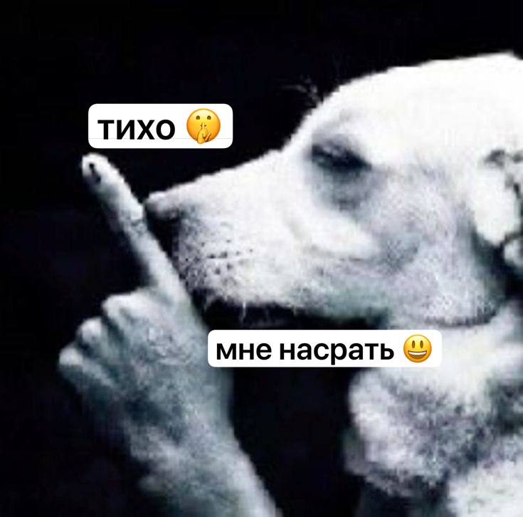 тихо