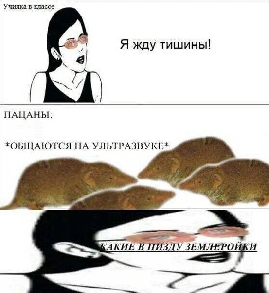 Училка в классе Я жду тишины! а ПАЦАНЫ: *ОБЩАЮТСЯ НА УЛЬТРАЗВУКЕ* В ПИЗДУ ЗЕМЛЕРОЙКИ