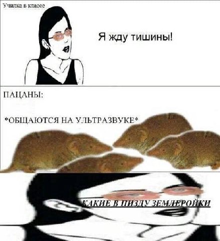 Училка в классе Я жду тишины! а ПАЦАНЫ: *ОБЩАЮТСЯ НА УЛЬТРАЗВУКЕ* В ПИЗДУ ЗЕМЛЕРОЙКИ