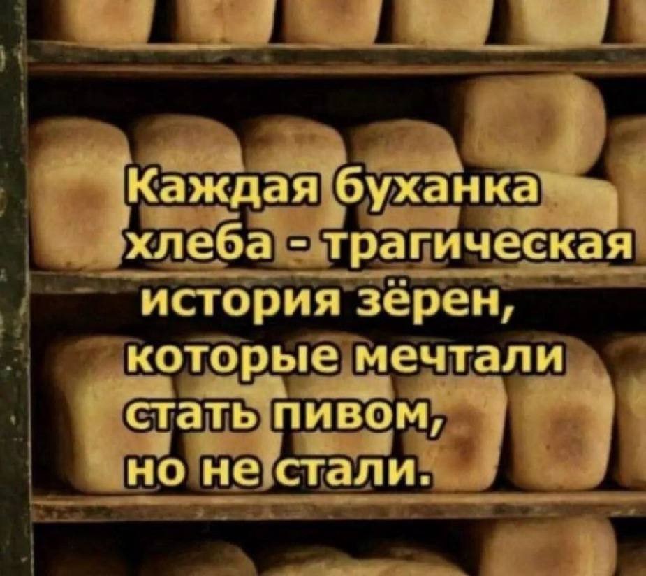 Каждая буханка хлеба трагическая история зерен, которые мечтали стать пивом, но не стали,