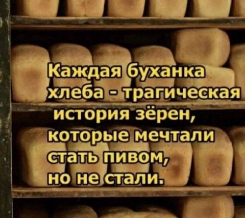 Каждая буханка хлеба трагическая история зерен, которые мечтали стать пивом, но не стали,