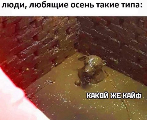 люди, любящие осень такие типа: КАКОЙ ЖЕ КАЙФ