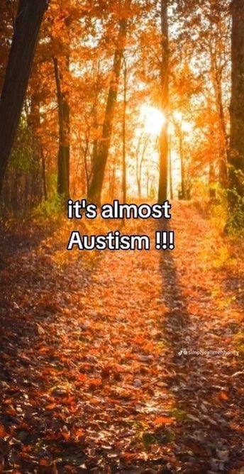 a its almost Austism