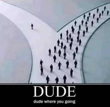 DUDE